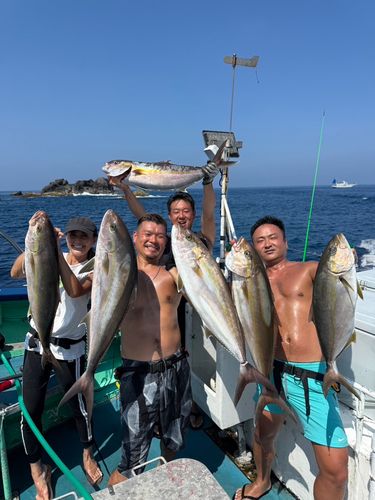 カンパチの釣果