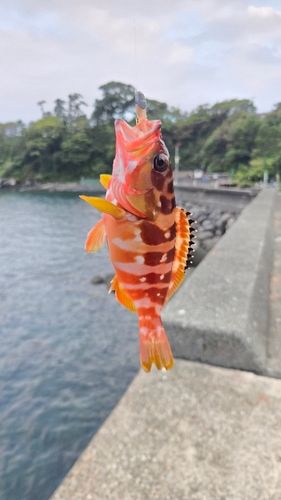 東伊豆