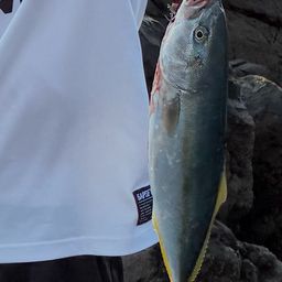 ツバス
