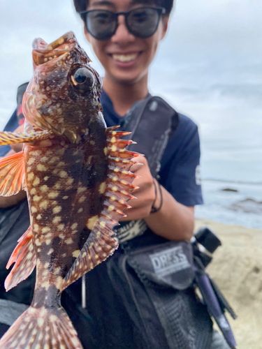 江ノ島