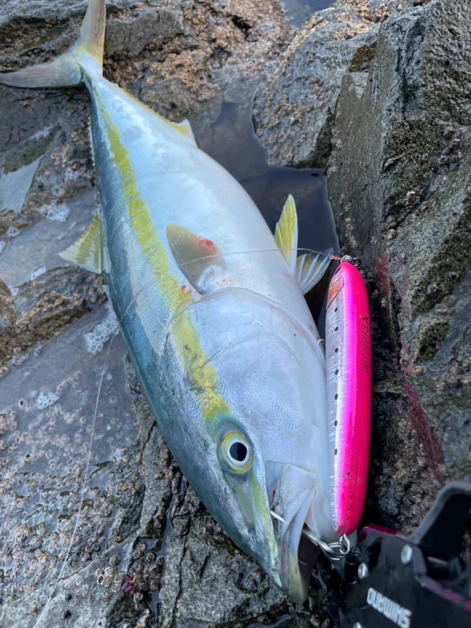 MajorCraft クロスライド5G XR5-1002M Major Craft クロスライド5G XR5-1002M/LSJ ショアジギング