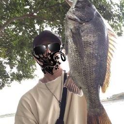 クロダイ