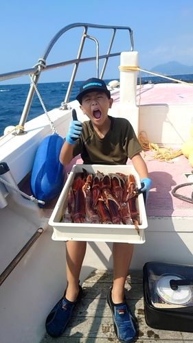 スルメイカの釣果
