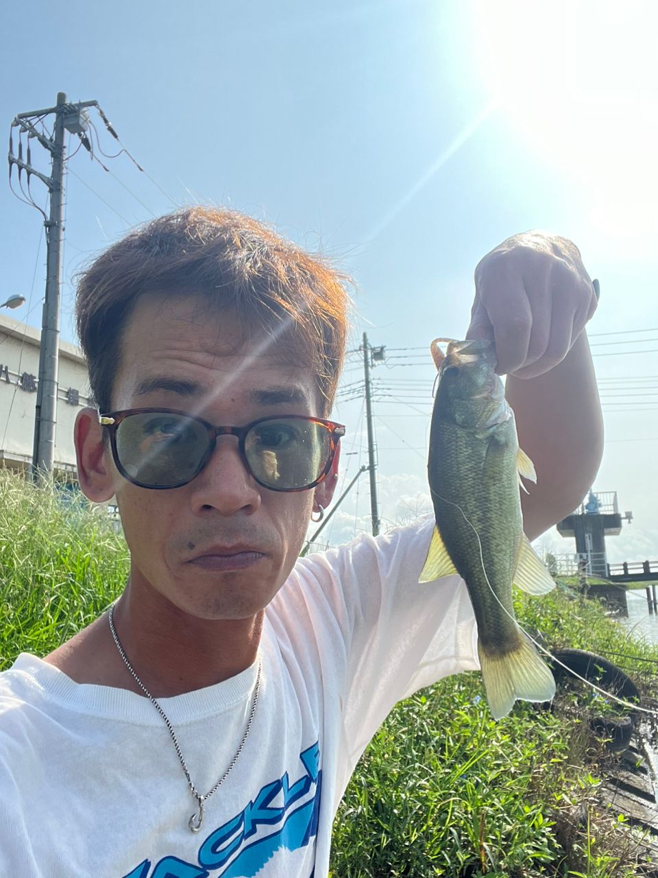 ブラックバス