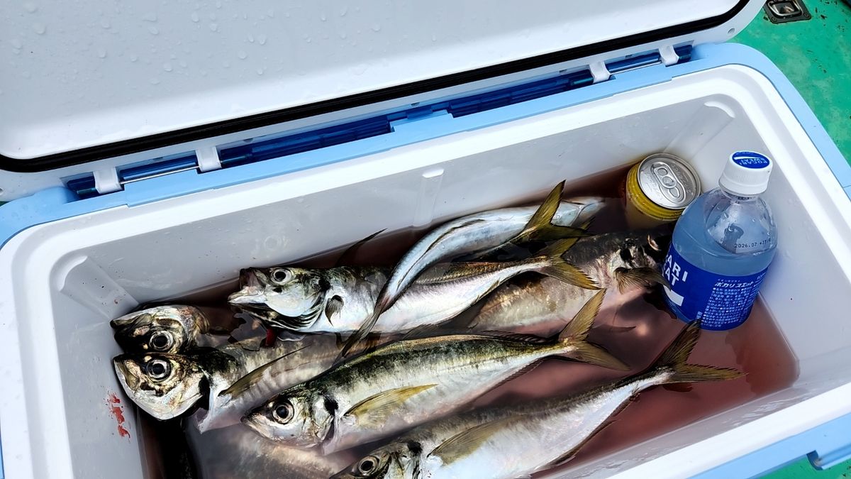 ⭐ころん⭐さんの釣果 1枚目の画像