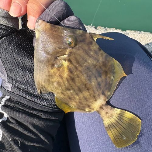 表浜名湖