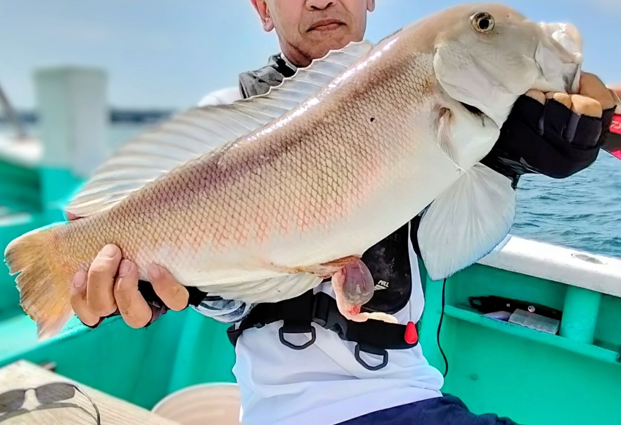 DAIWA 22極鋭 アマダイ M-185の最安値・インプレ・釣果 | 本音の口コミ