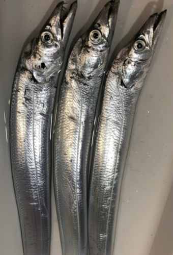 海辺つり公園