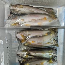アユ