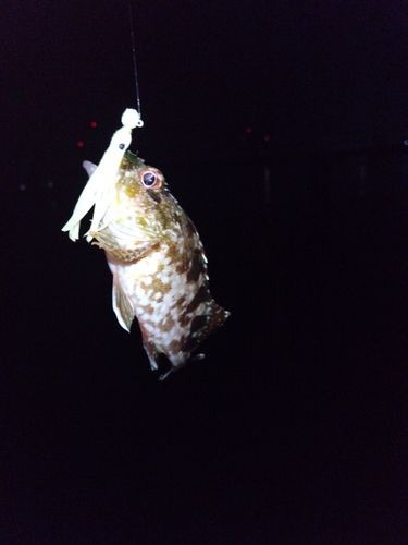 日本鋼管付近