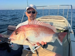 マダイの釣果
