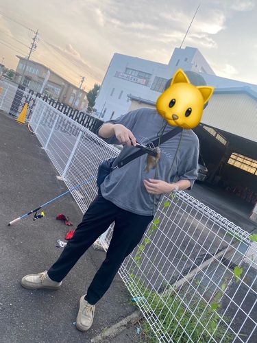 ブルーギルの釣果