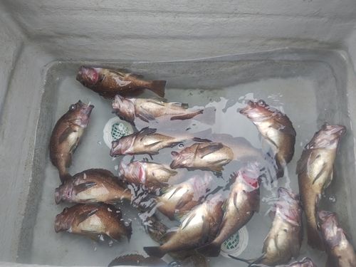 噴火湾