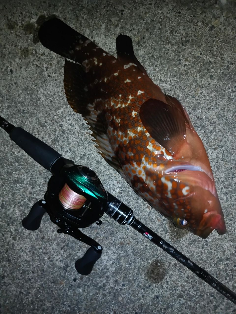 AbuGarcia ソルティースタイル ベイトフィネスカスタム STBC-6102ULT