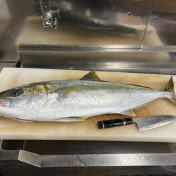 ヒラマサ