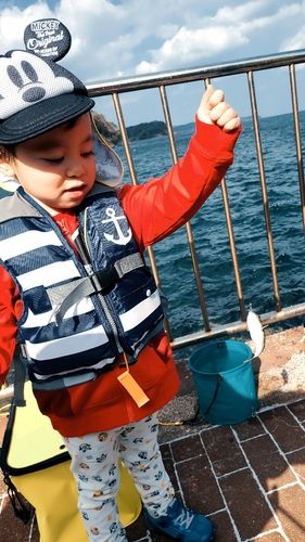 アラカブの釣果