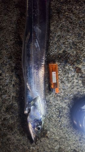 海辺つり公園