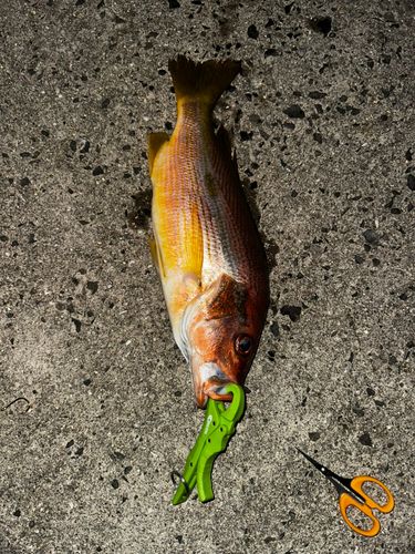角力灘