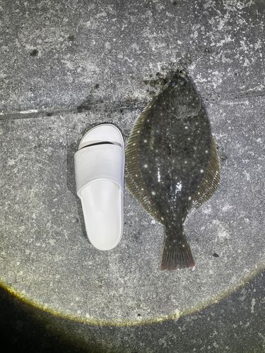 小鳴門筋