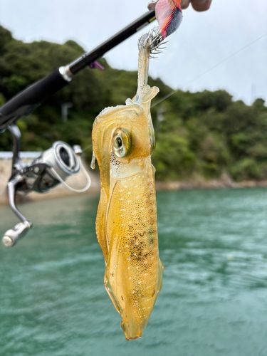 周防大島（屋代島）