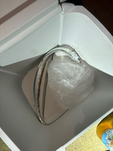 生穂新島