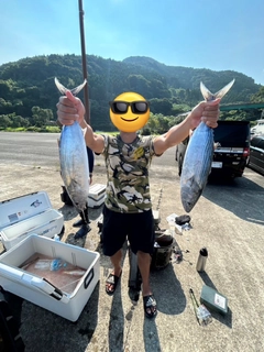 ハガツオの釣果