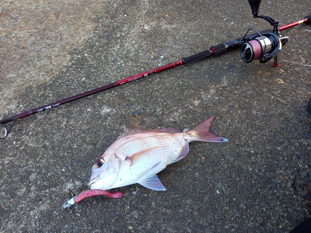 DAIWA 13ハートランド AGS 772MFS-SV AGS17の最安値・インプレ