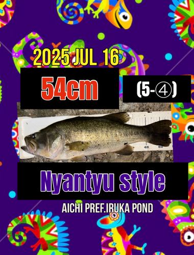 ラージマウスバスの釣果