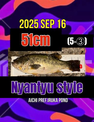 ラージマウスバスの釣果