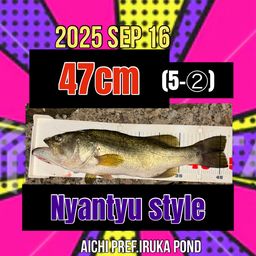 ラージマウスバス