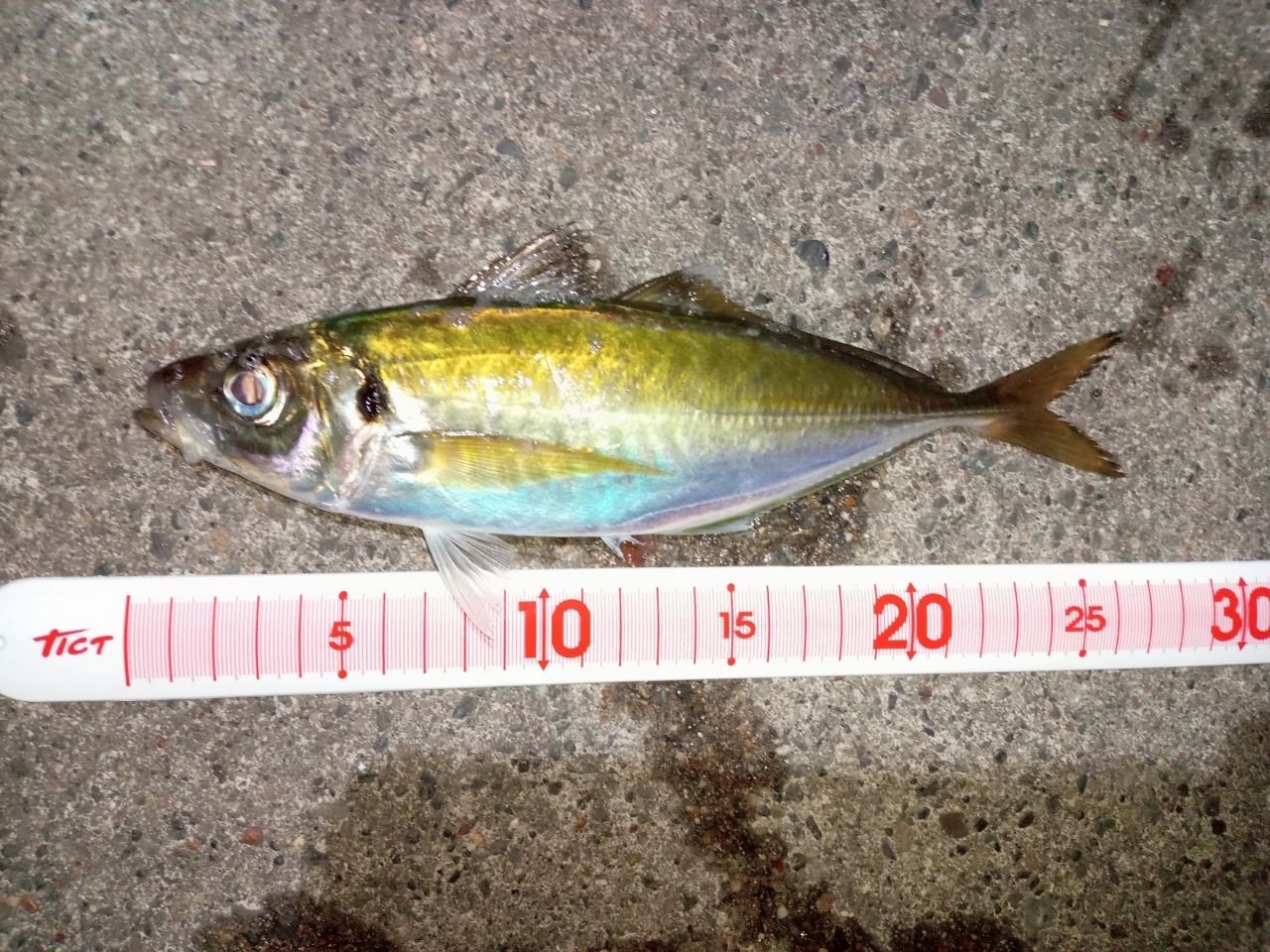 SHIMANO 21ソアレXR S58UL-Sの最安値・インプレ・釣果 | 本音の