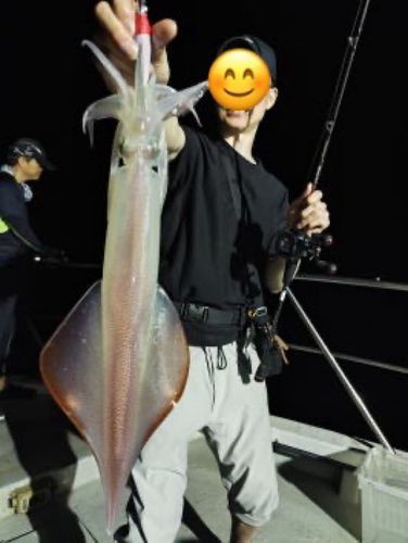 ヤリイカの釣果
