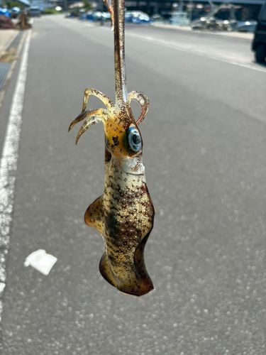 北金ケ沢漁港