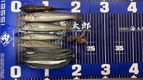 ハッピーフィッシング新潟東港第2堤防