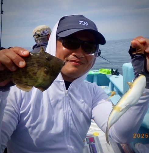 カワハギの釣果