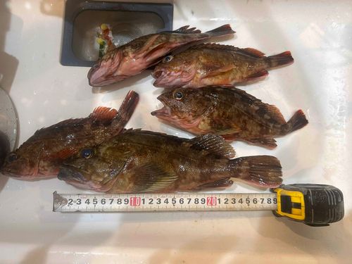 鹿島港魚釣園