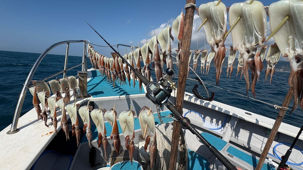 P.kobaさんの釣果 2枚目の画像
