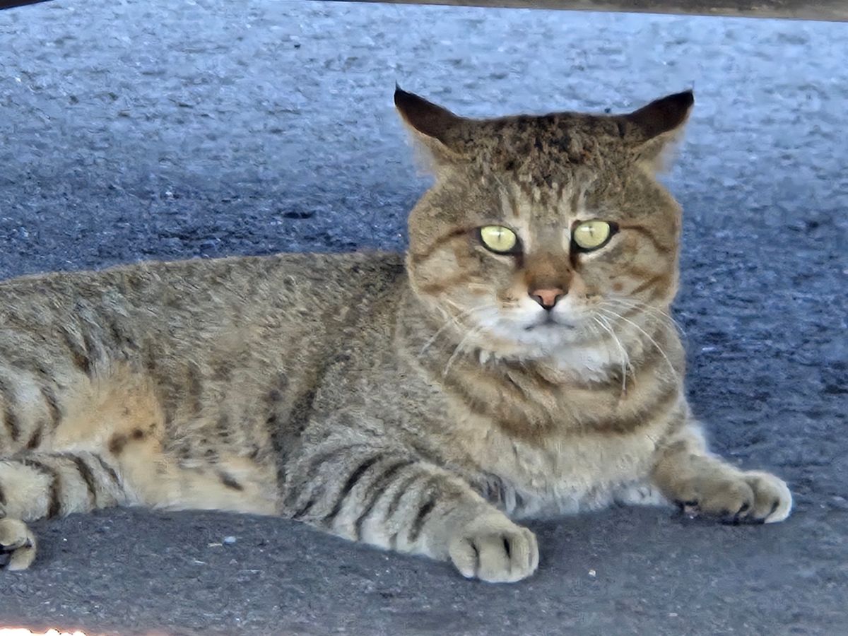 くらんべるさんの釣果 2枚目の画像