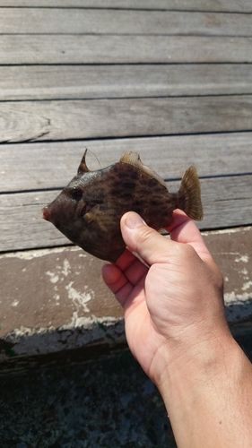 海辺つり公園