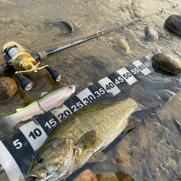 スモールマウスバス