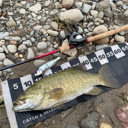 スモールマウスバス