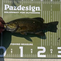 スモールマウスバス