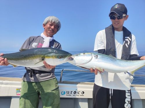 ブリの釣果