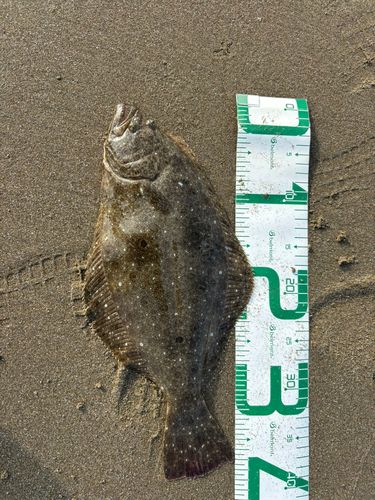 須田浜海岸