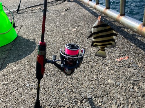 鞠山海遊パーク