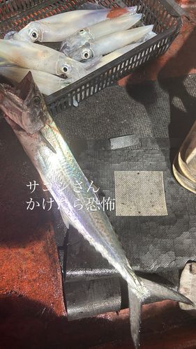 江の川河口