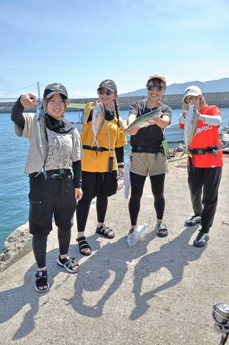 タチウオの釣果
