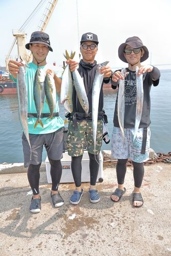タチウオの釣果