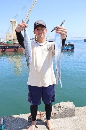 タチウオの釣果