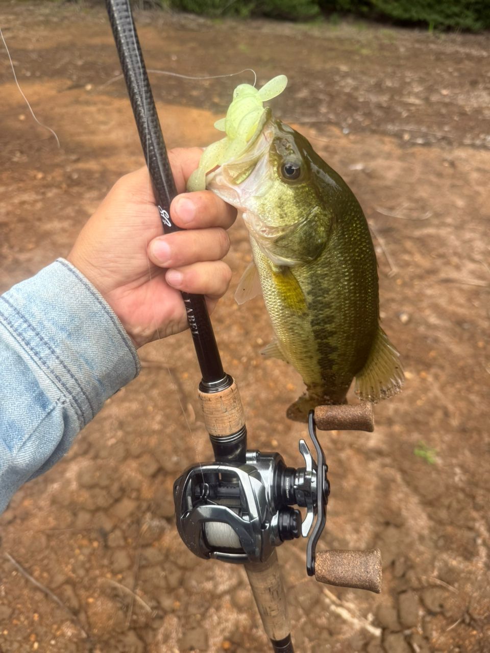 DAIWA 19ブラックレーベル SG 671MHFB-FRの最安値・インプレ・釣果